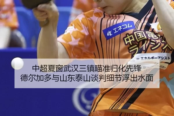 zhong-chao-xia-chuang-wu-han-san-zhen-miao-zhun-gui-hua-xian-feng-de-er-jia-duo-yu-shan-dong-tai-shan-tan-pan-xi-jie-fu-2-264.jpg